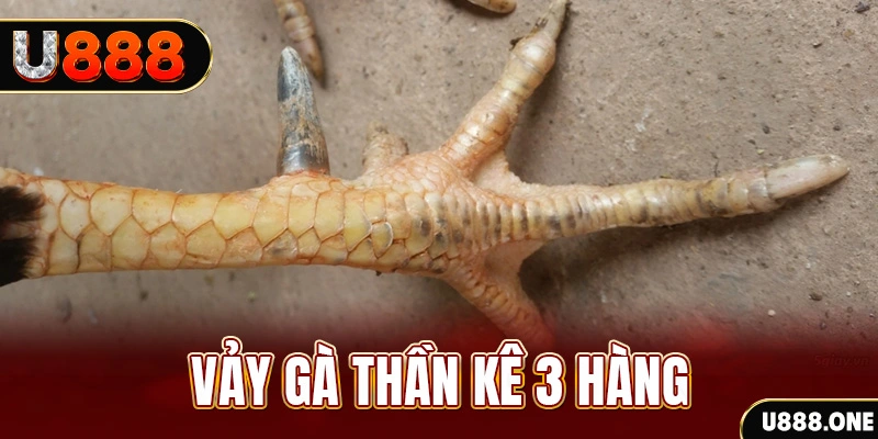 sv288 nổ hũ đổi thưởng . ai