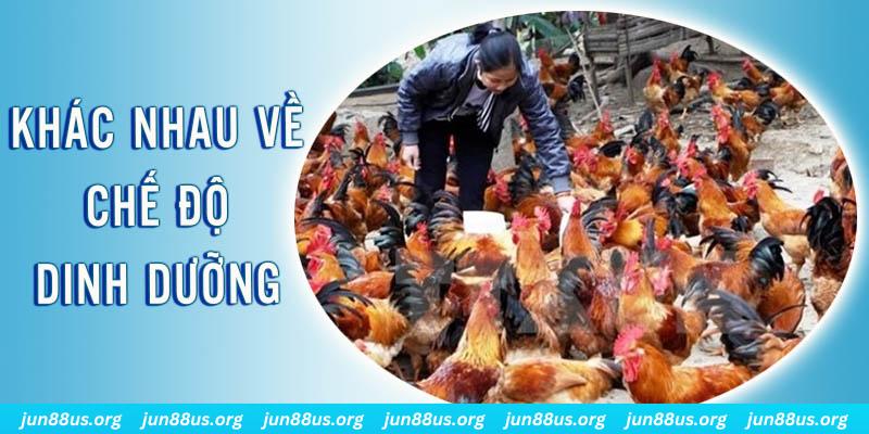 sv288 xổ số thứ sáu hàng tuần