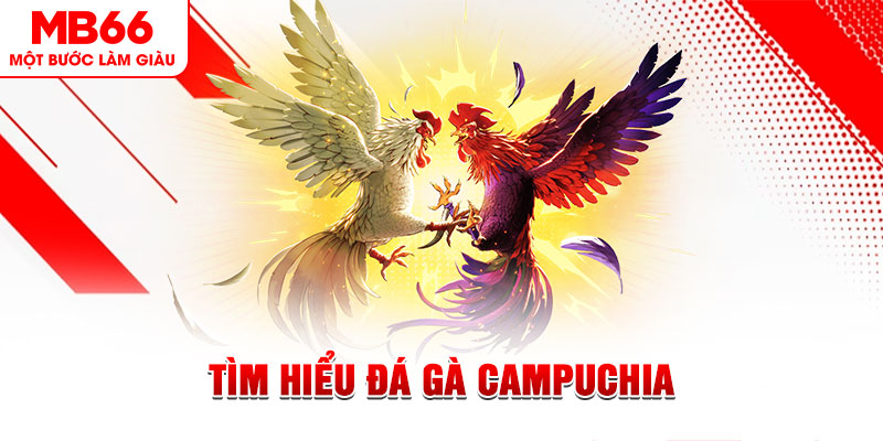 sv288 tại sao không tải được nổ hũ