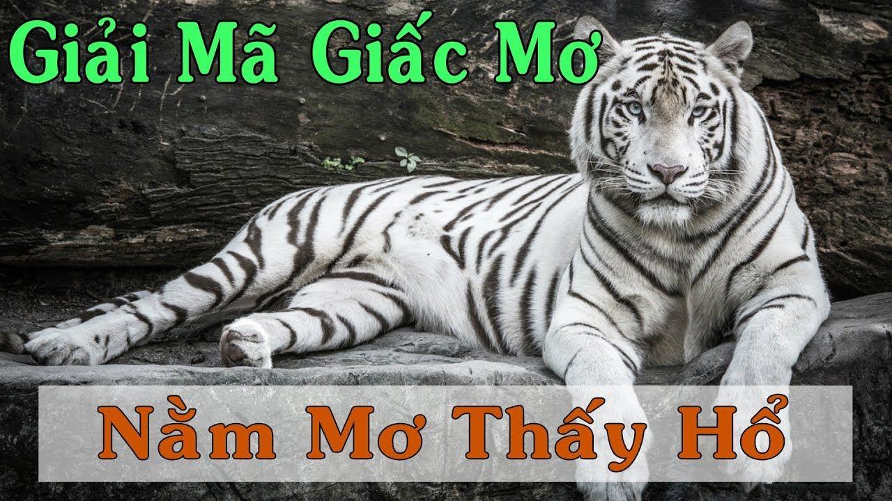 sv288 xổ số miền trung
