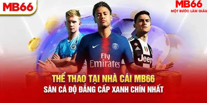 sv288 HB Điện Tử