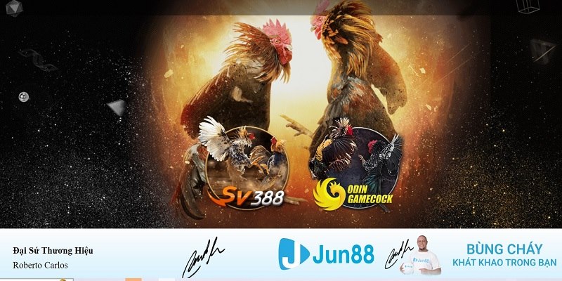 sv288 xổ số miền nam hàng tuần