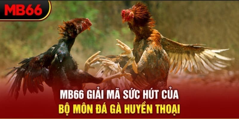 sv288 long bảo trong baccarat là gì