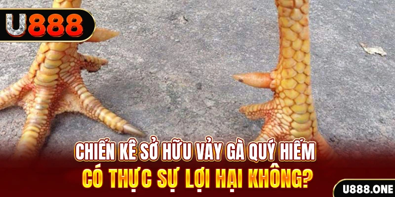 sv288 game cá cược máy bay