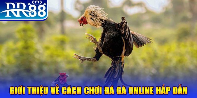 sv288 nổ hũ 2 mặt là gì