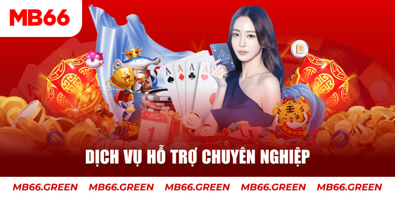 sv288 gà chọi cậu thanh