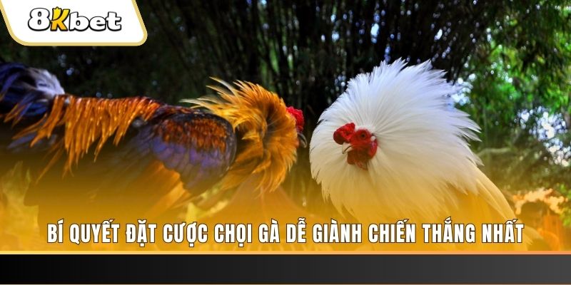 sv288 may club nổ hũ